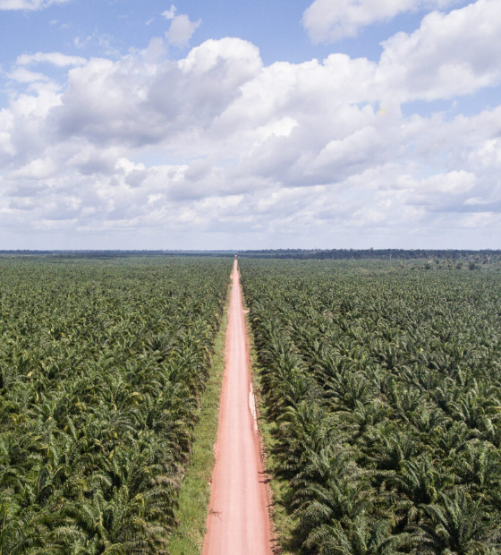 Faepa reconhece responsáveis por ataques à BBF em Tomé-Açu e no Acará e aposta em patrulha rural