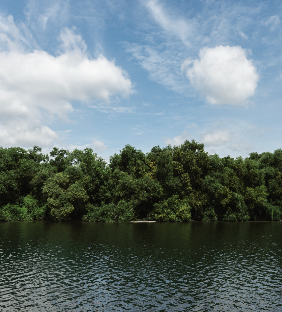 Lideranças indígenas denunciam que são usadas e manipuladas por ONGs no Amazonas