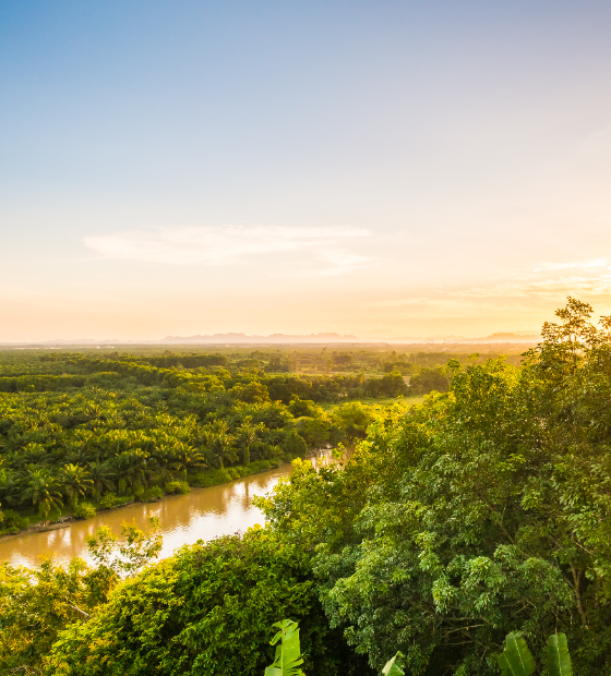 Nasa quer ampliar parceria com Brasil no monitoramento da Amazônia