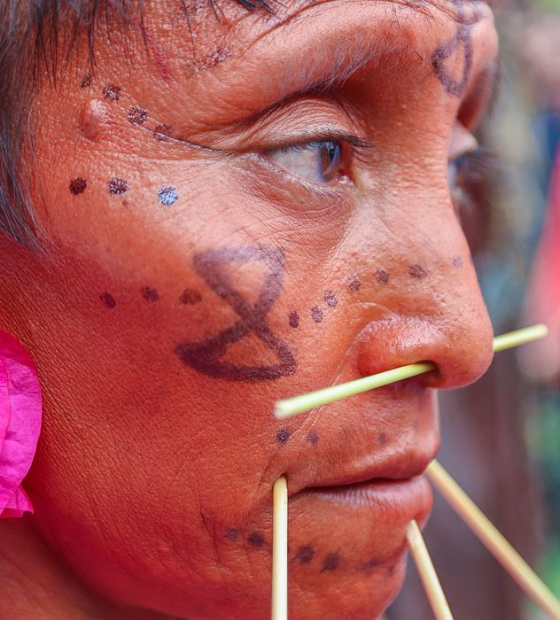 Brasil teve 795 indígenas assassinados entre 2019 e 2022