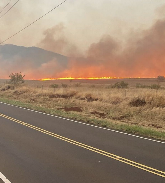  Incêndios florestais no Havaí deixam ao menos 36 mortos e destroem cidade turística