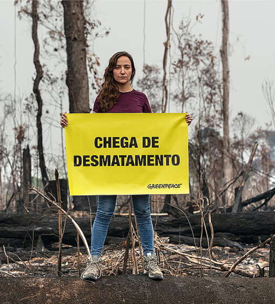Greenpeace Brasil lança campanha pedindo atuação dos governadores do Consórcio Amazônia Legal contra desmatamento e queimadas