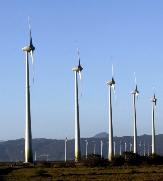 Mesa de diálogo com o governo vai debater energia renovável