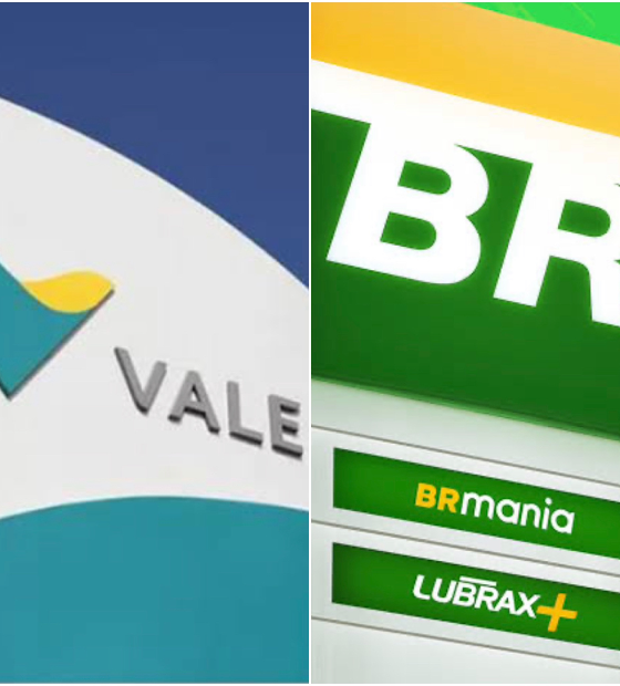 Vale e Petrobras lideram lista de empresas multadas pelo Ibama, mas beneficiadas por incentivos fiscais