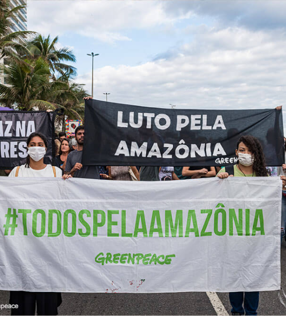 Greenpeace Brasil espera que Lula anuncie medidas de proteção ao meio ambiente em discurso na abertura da Assembleia-Geral da ONU