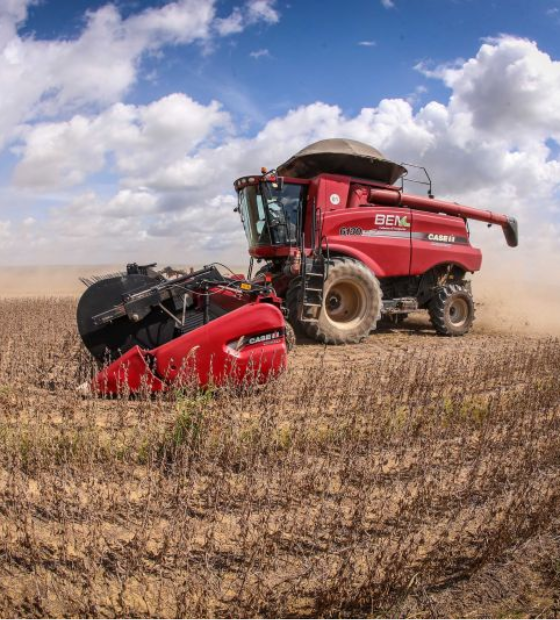 Agro deve liderar pedidos de recuperação judicial