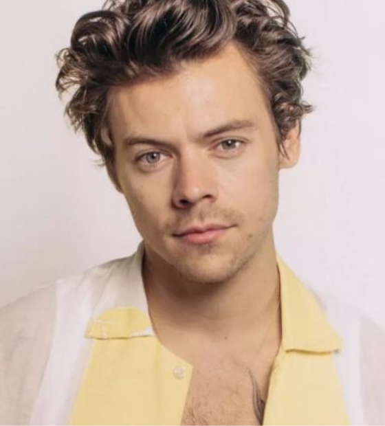 Brasileira é presa por enviar 8 mil cartas ao cantor Harry Styles, na Inglaterra