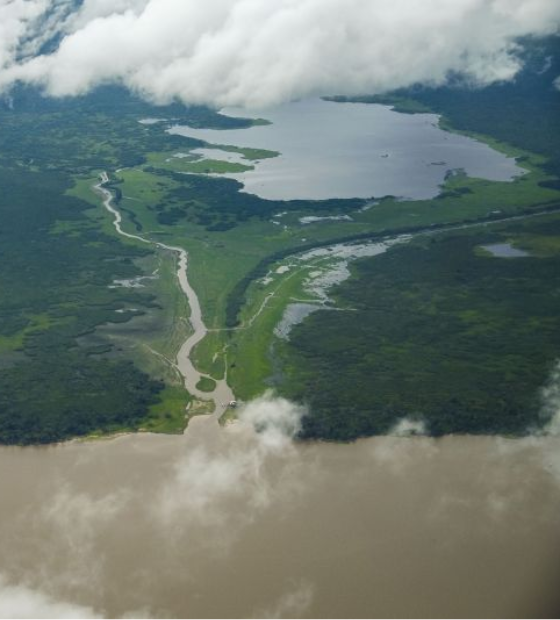 Parceria entre Ideflor-Bio e Funbio garante recursos para impulsar conservação e desenvolvimento sustentável no Pará