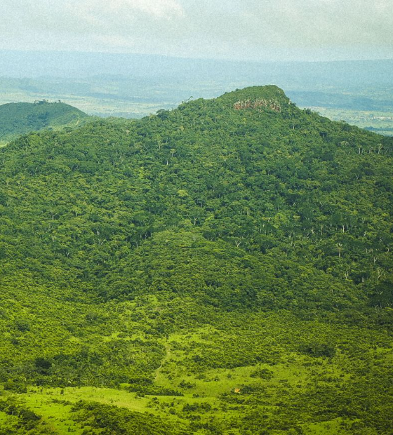 Pará registra queda de 59% nos alertas de desmatamento no mês de março