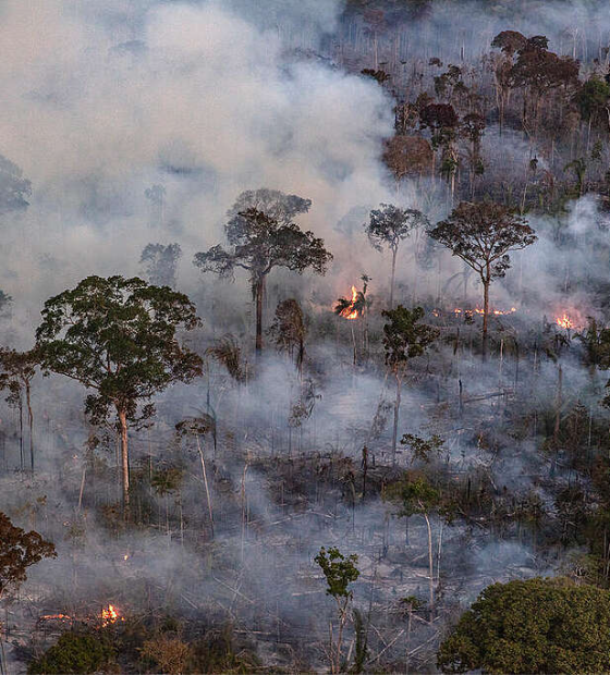 Brasil registra 17 mil focos de queimada em todo o país em 4 meses e bate recorde