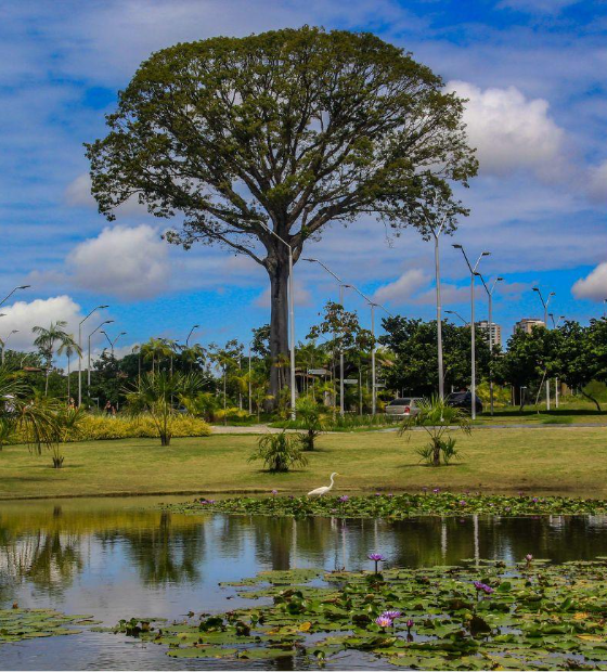 Programação especial celebra os 31 anos do Parque Estadual do Utinga