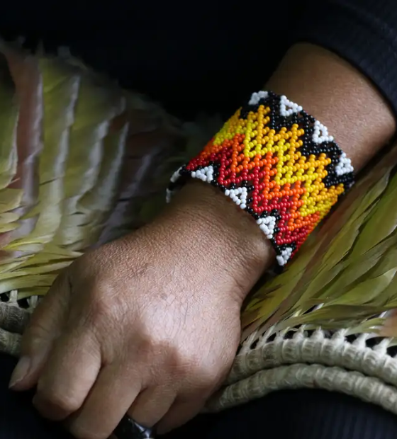 Ao menos 208 indígenas foram assassinados no Brasil em 2023