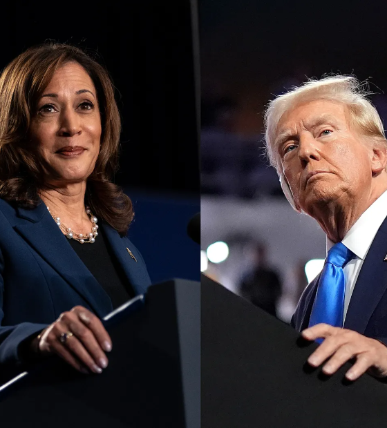 Kamala Harris se sai melhor que Biden, mas segue atrás de Trump em pesquisa NYT