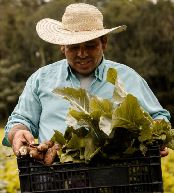 Chamada Pública oferece até R$ 900 mil por projeto de agricultura sustentável no Pará