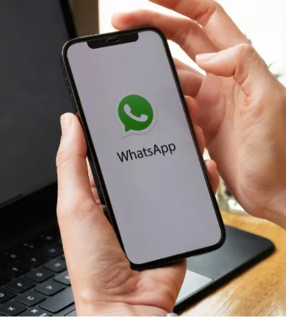 WhatsApp faz parceria com Giphy para turbinar 'figurinhas' no app