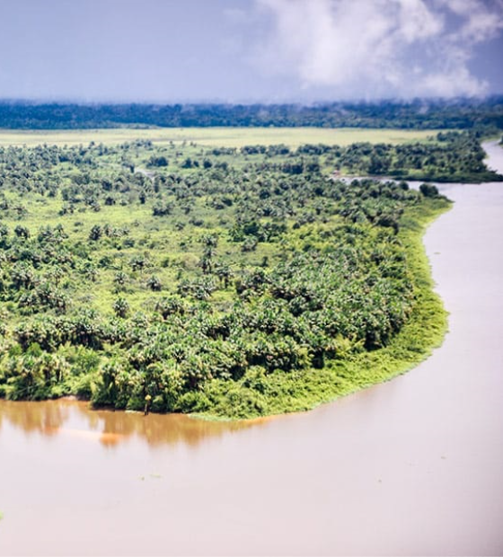 BNDES cria projetos para segurança pública e libera verba à Amazônia