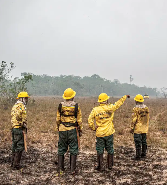 Dino estabelece orçamento de emergência para combate a incêndios