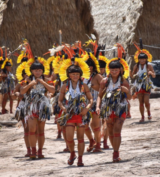 Ver Amazônia: com os povos da floresta fora das decisões, Amazônia não cabe na COP 30