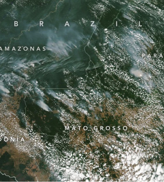 Nos últimos 40 anos, uma quarto do território brasileiro foi afetado por queimadas
