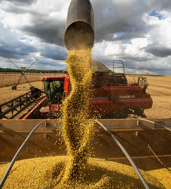Países árabes querem comprar mais produtos do agro do Brasil em alternativa aos EUA