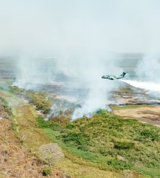 Lula tenta se antecipar à crise das queimadas e chama governadores Amazônia, Cerrado e Pantanal para reunião