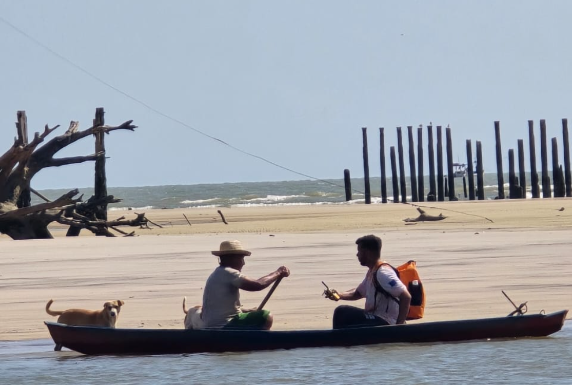 Projeto em praias do Pará monitora e fortalece a fauna marinha