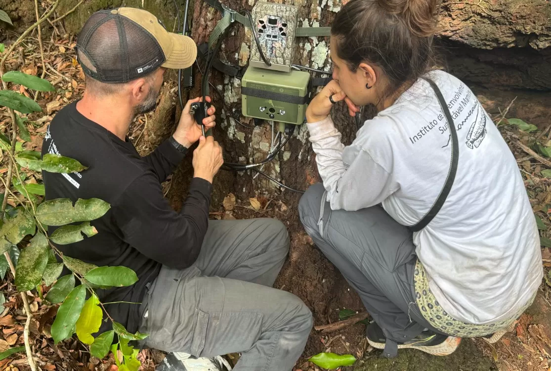 Ufopa cria cursos pioneiros de Inteligência Artificial no interior da Amazônia