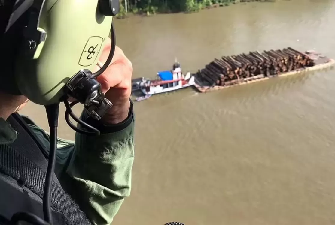 Amazônia sem fôlego e desmatamento sem controle: carbono em baixa e crise em alta