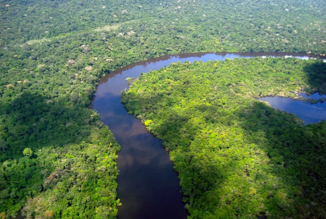 Amazônia e Cerrado registram queda de 11% no desmatamento, em agosto