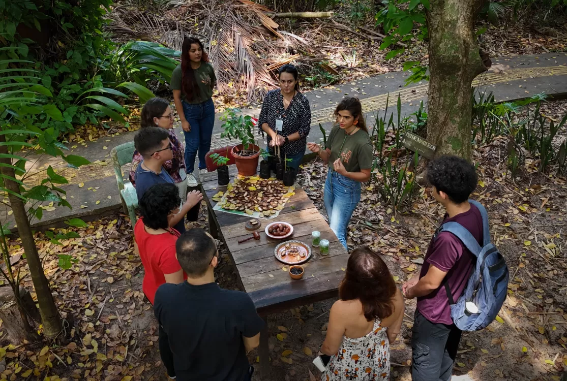 Conheça 11 ações da “Rota da Bioeconomia