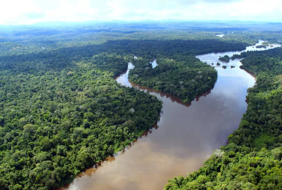 COP 30: Unamaz e Bio Tec-Amazônia debatem inovações para o desenvolvimento sustentável
