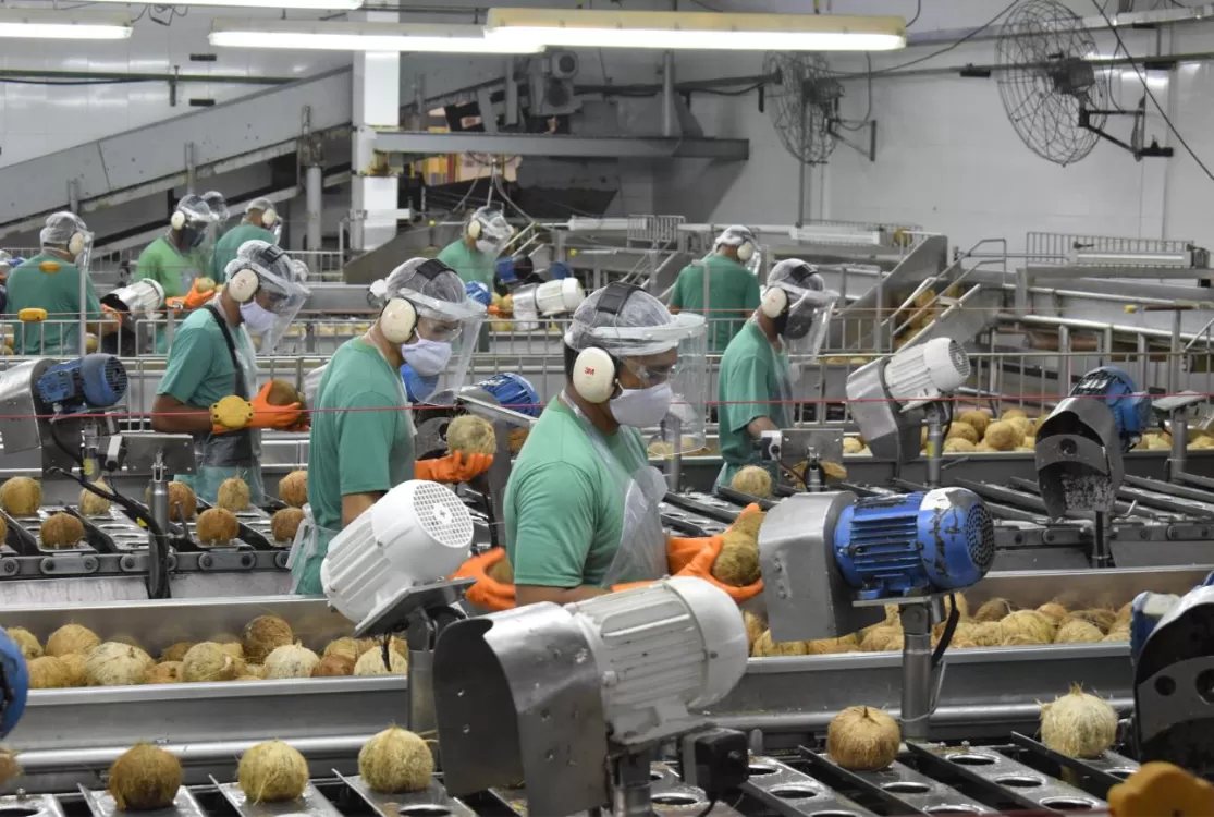 Produção industrial cai no Pará, em todo o Nordeste e em mais 5 estados, diz IBGE