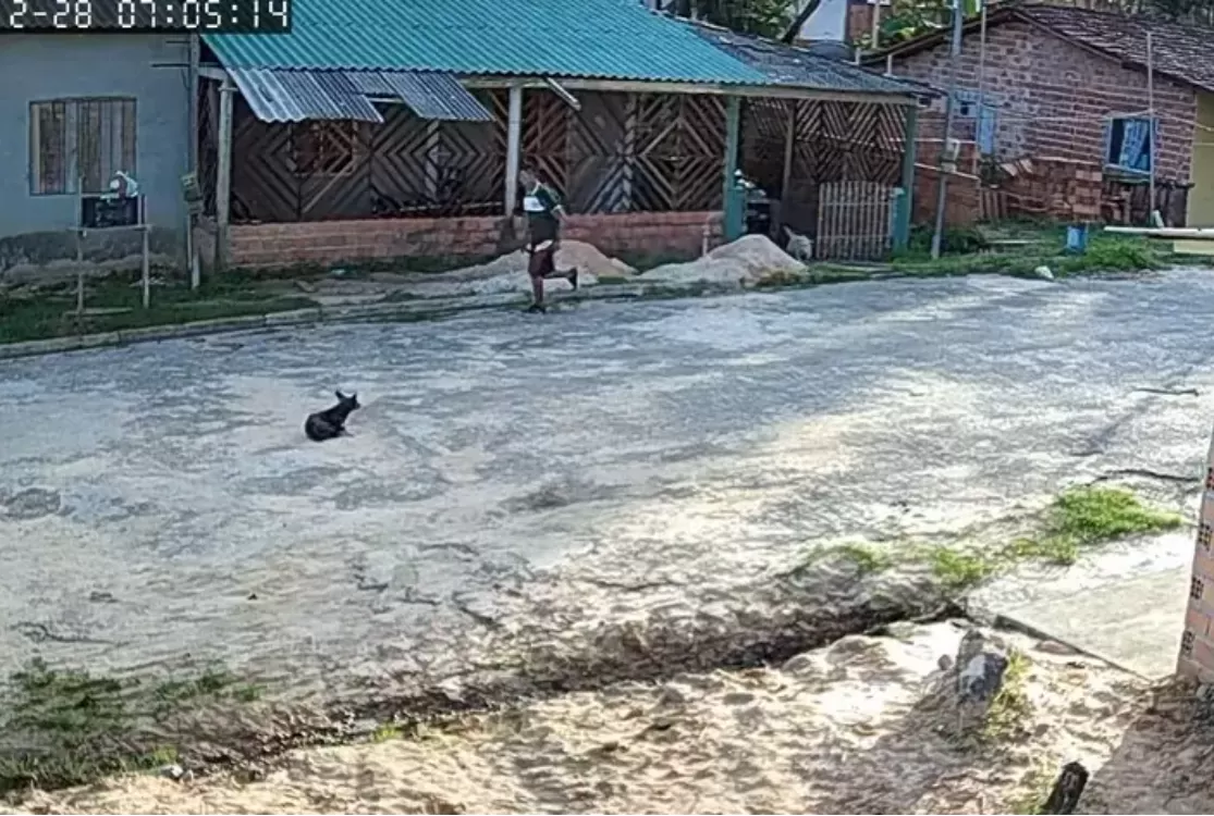 Homem que ateou fogo na esposa em Salinópolis é preso por tentativa de feminicídio