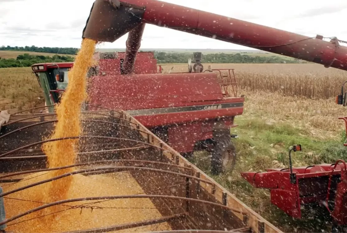 Produtores visionários e investidores atentos redesenham o futuro agrícola do Brasil