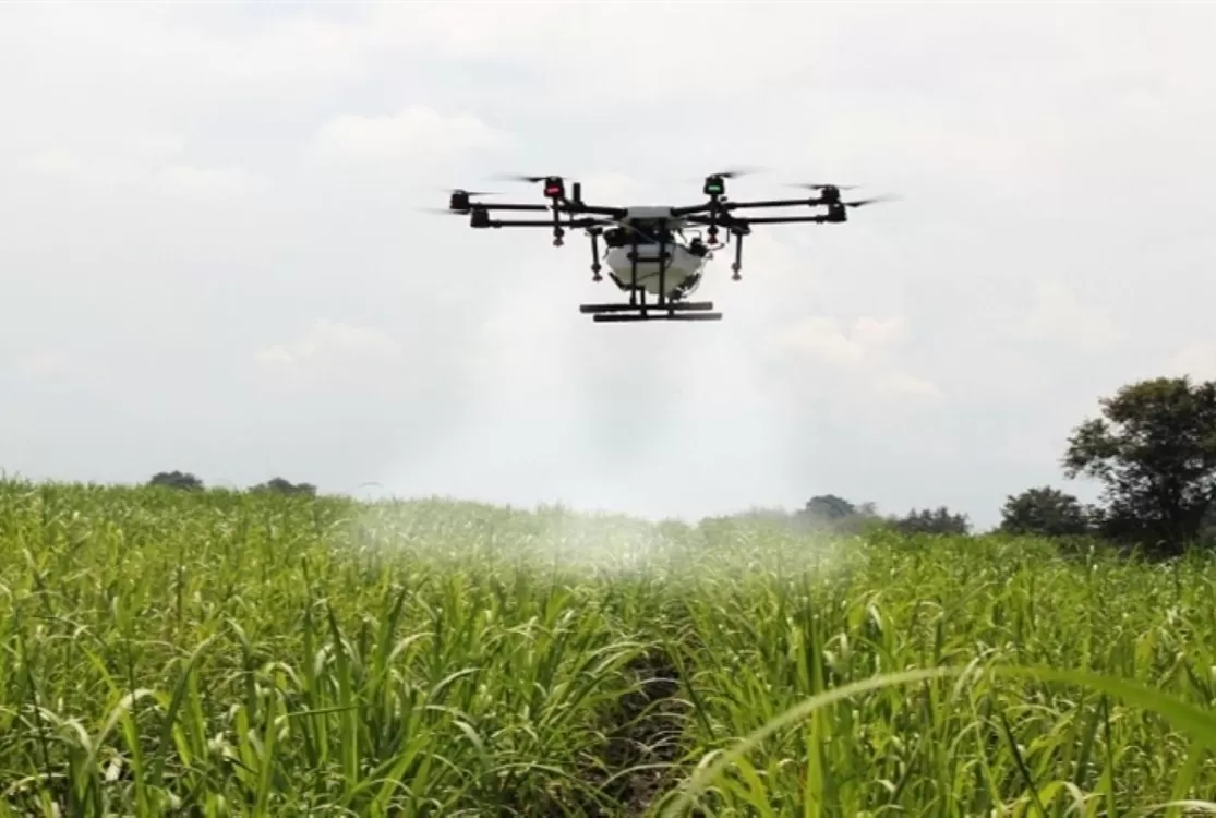 Pulverização aérea sufoca agricultura familiar na região nordeste do Estado