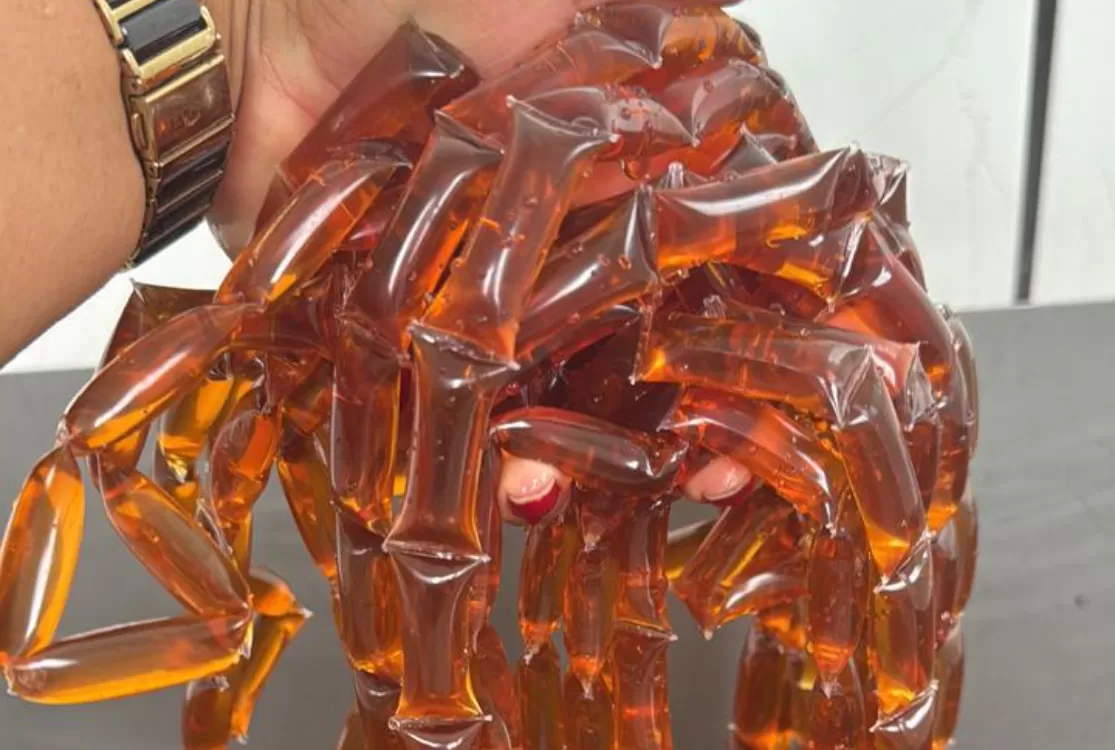 Agricultura familiar: máquina de sachês amplia renda e leva mel para merenda escolar