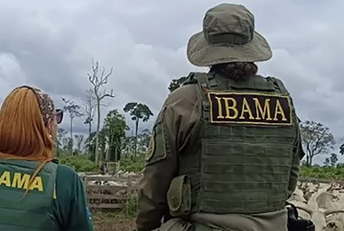 Senado reabre ferida sobre apreensões no Estado e disputa com Ibama e Adepará