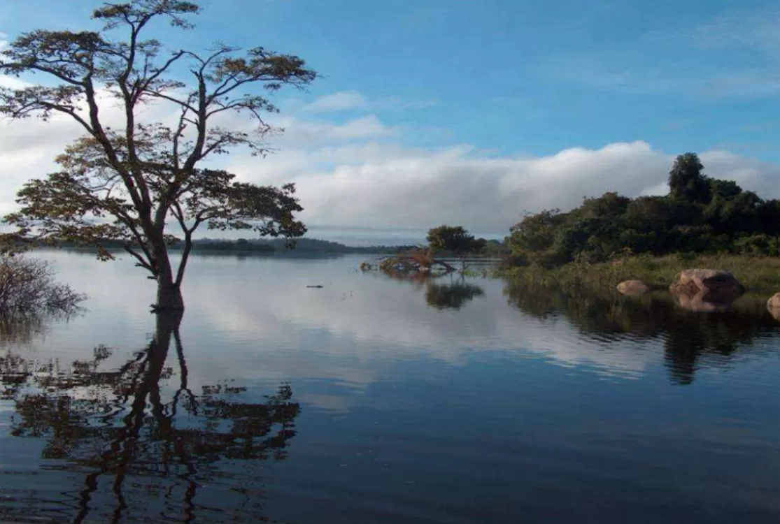Projeto na Reserva Extrativista do Rio Iriri é selecionado pelo Fundo Amazônia