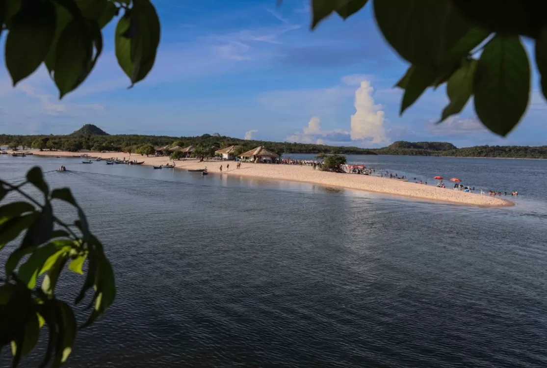 Pesquisa da Ufopa analisa impactos da presença de “limo” em praias do rio Tapajós