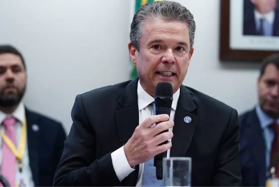 Queremos voltar à lista e seguir fornecendo proteínas à UE, diz ministro da Agricultura