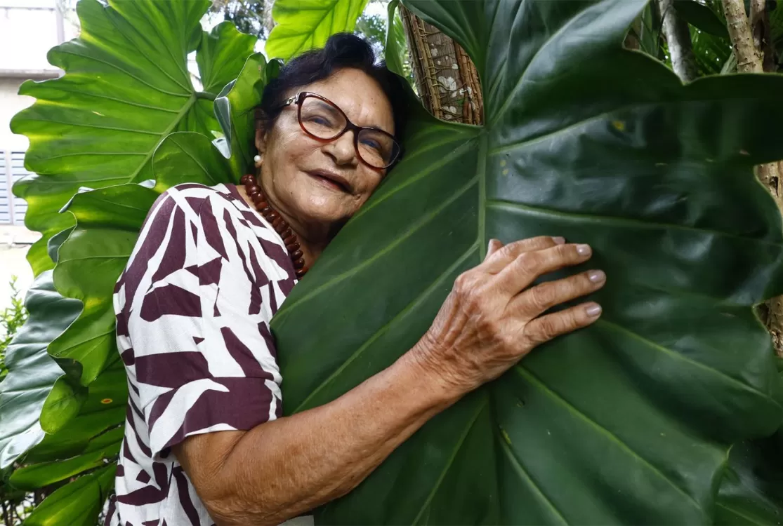 Beija-flor ensaia repetir ano de 1998 em nova homenagem ao Pará na avenida