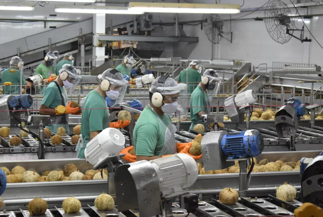 Setor industrial do Pará registra crescimento acumulado de 65,8% entre 2018 e 2025