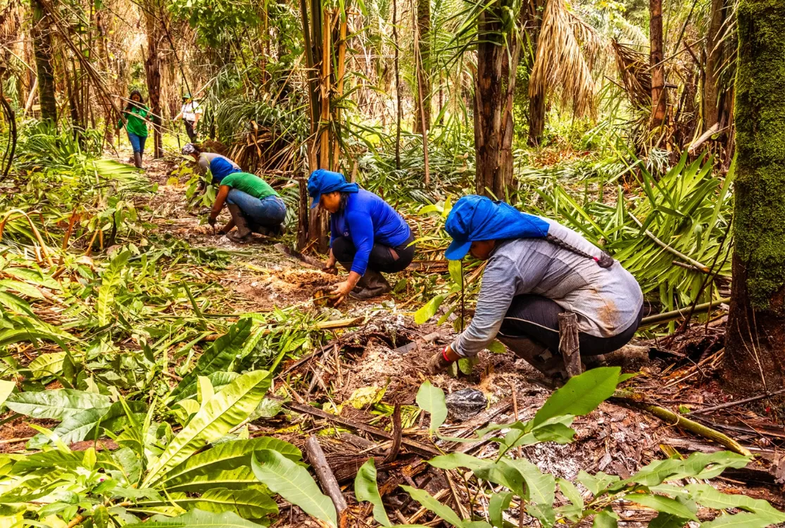 Entre crise climática e abandono, Marajó reage e se articula pala sobrevivência