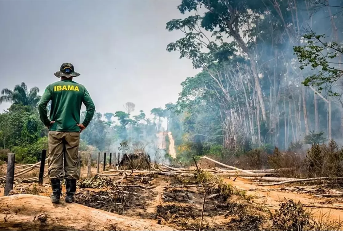 Desmatamento cai, mas Amazônia ainda perdeu quase cinco árvores por segundo