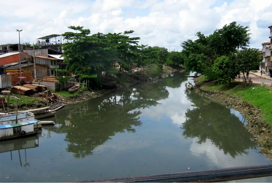 Parque Linear do Tucunduba provoca reação popular após derrubada de árvores