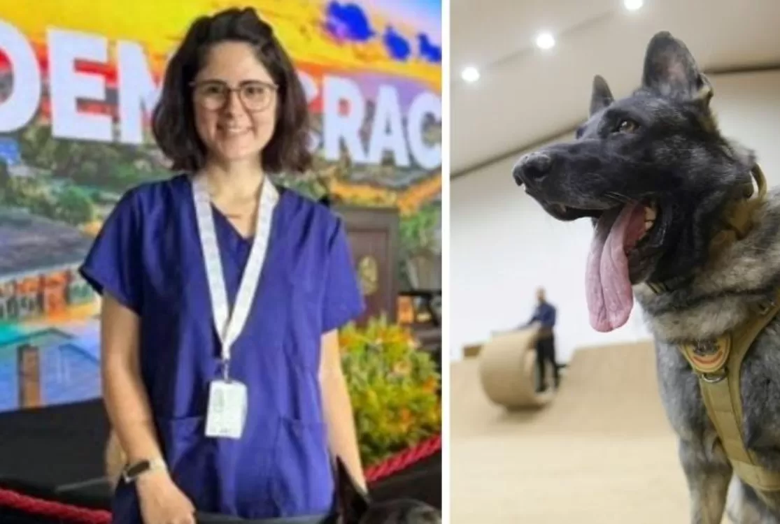 Veterinária atacada por cão do Senado em Brasília morre após quatro dias internada